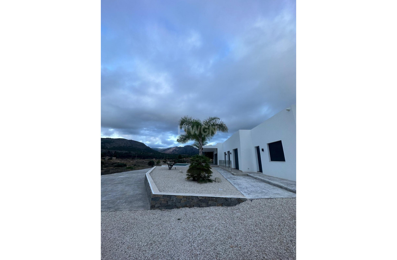 Nowy budynek - Villa - Pinoso - Casas Pastor