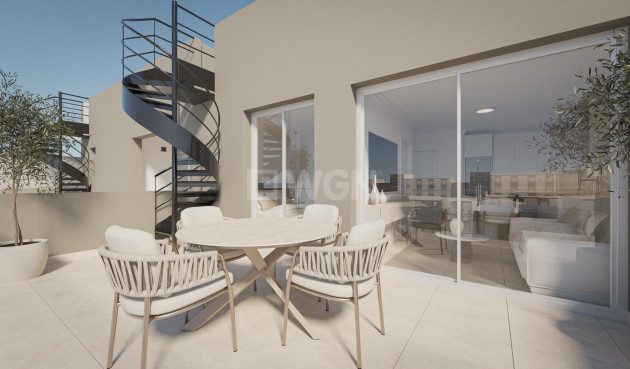 Nowy budynek - Daszek - Torrevieja - Centro