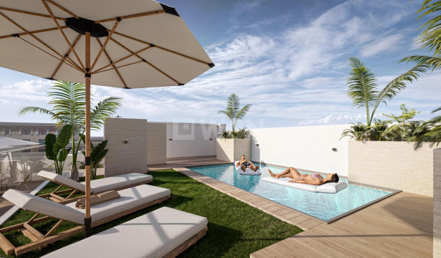 Nowy budynek - Daszek - Torrevieja - Centro