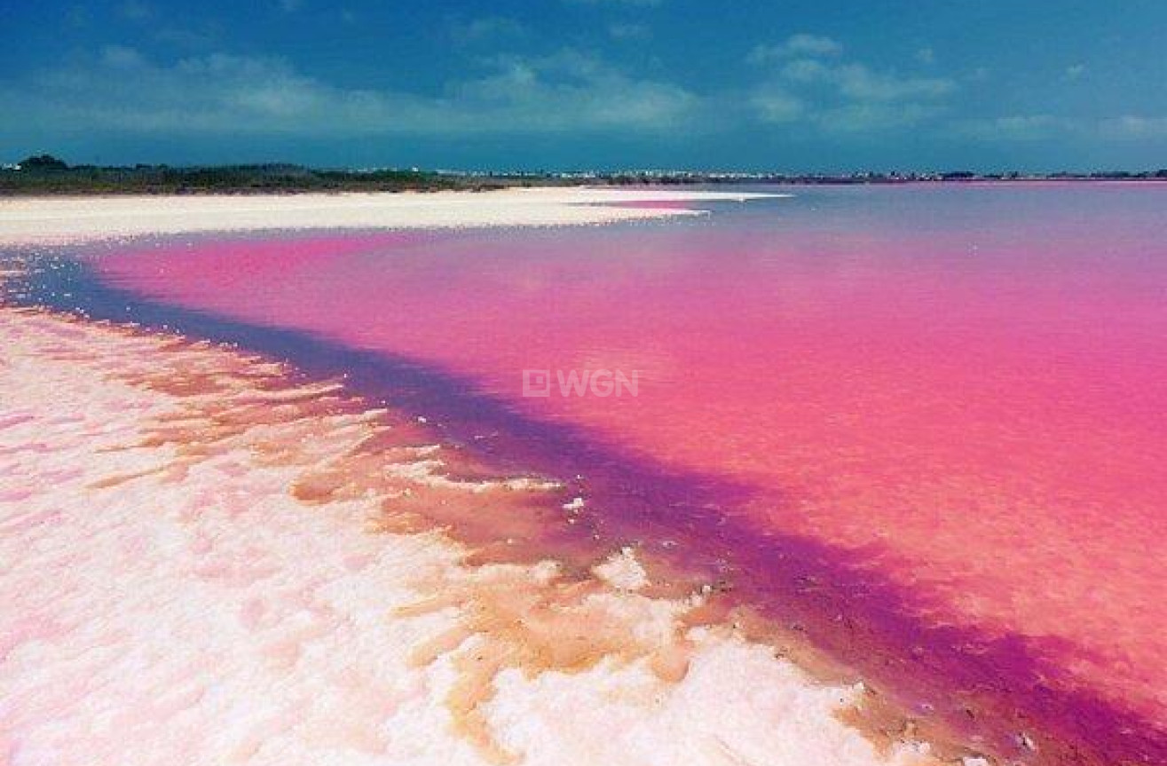 Odsprzedaż - Mieszkanie w bloku - Torrevieja - Playa del Cura
