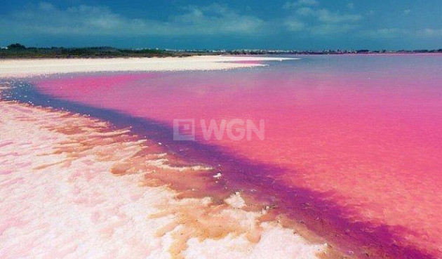 Odsprzedaż - Mieszkanie w bloku - Torrevieja - Playa del Cura