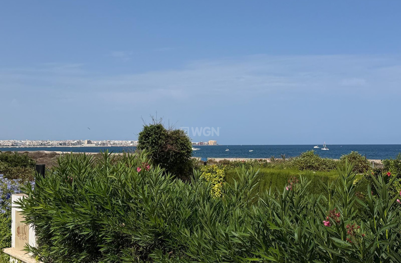 Odsprzedaż - Villa - Torrevieja - Punta Prima