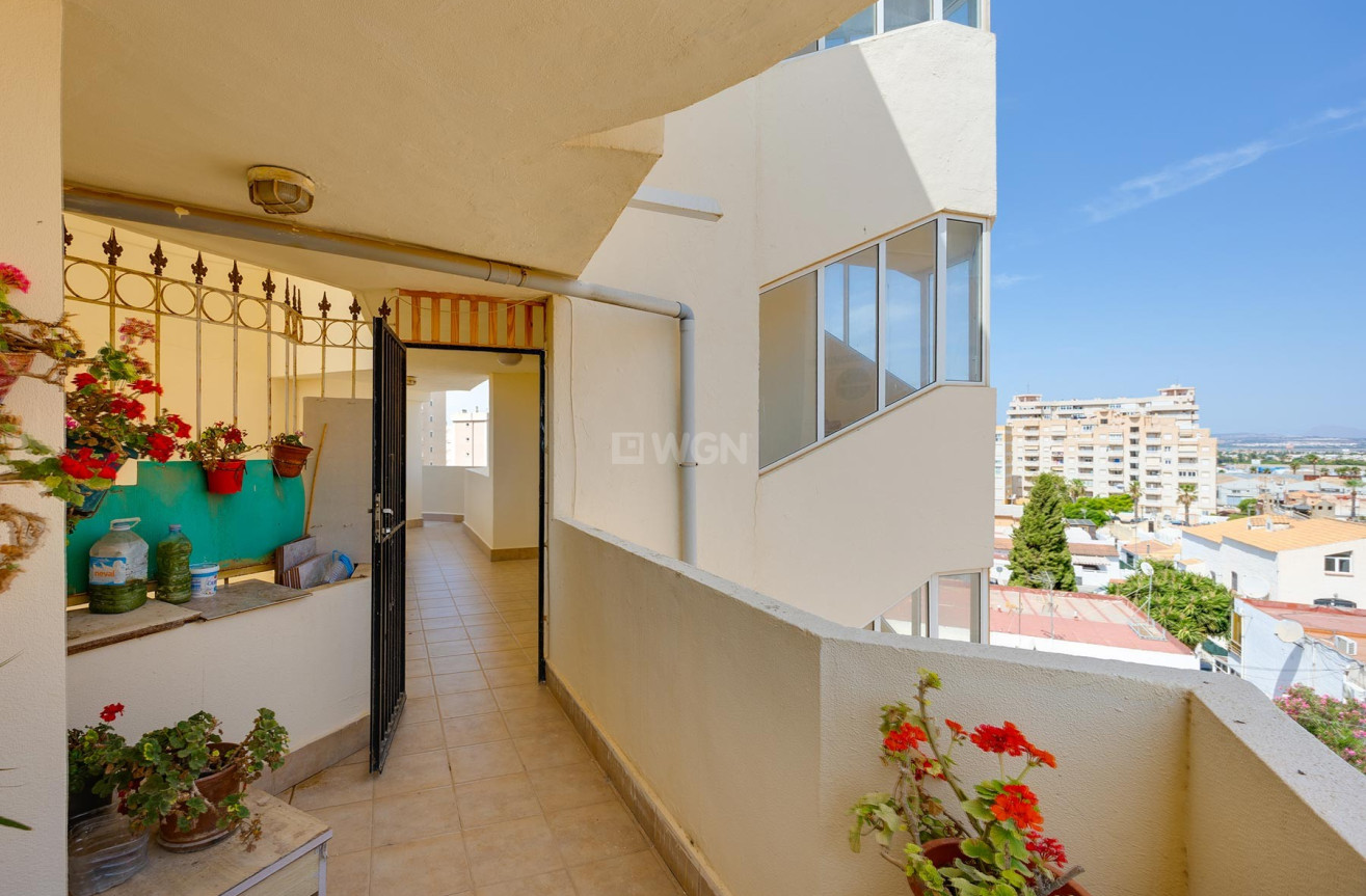 Odsprzedaż - Mieszkanie w bloku - Torrevieja - Costa Blanca