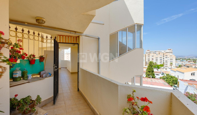 Odsprzedaż - Mieszkanie w bloku - Torrevieja - Costa Blanca