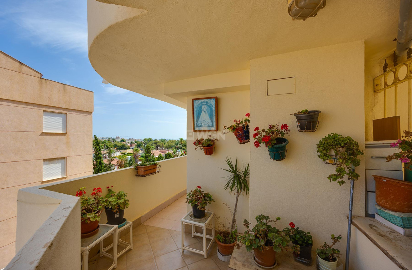 Odsprzedaż - Mieszkanie w bloku - Torrevieja - Costa Blanca