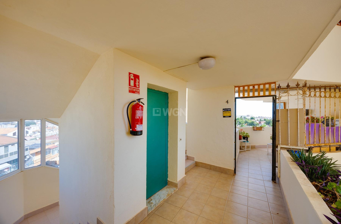 Odsprzedaż - Mieszkanie w bloku - Torrevieja - Costa Blanca