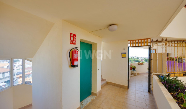 Odsprzedaż - Mieszkanie w bloku - Torrevieja - Costa Blanca