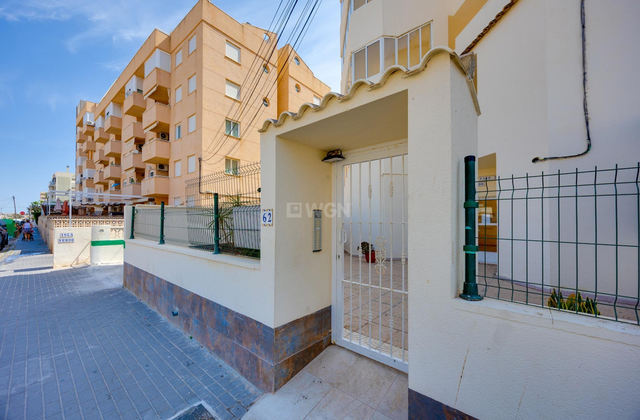 Odsprzedaż - Mieszkanie w bloku - Torrevieja - Costa Blanca