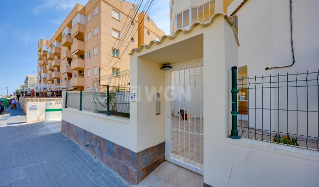 Odsprzedaż - Mieszkanie w bloku - Torrevieja - Costa Blanca