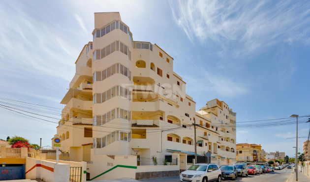 Odsprzedaż - Mieszkanie w bloku - Torrevieja - Costa Blanca