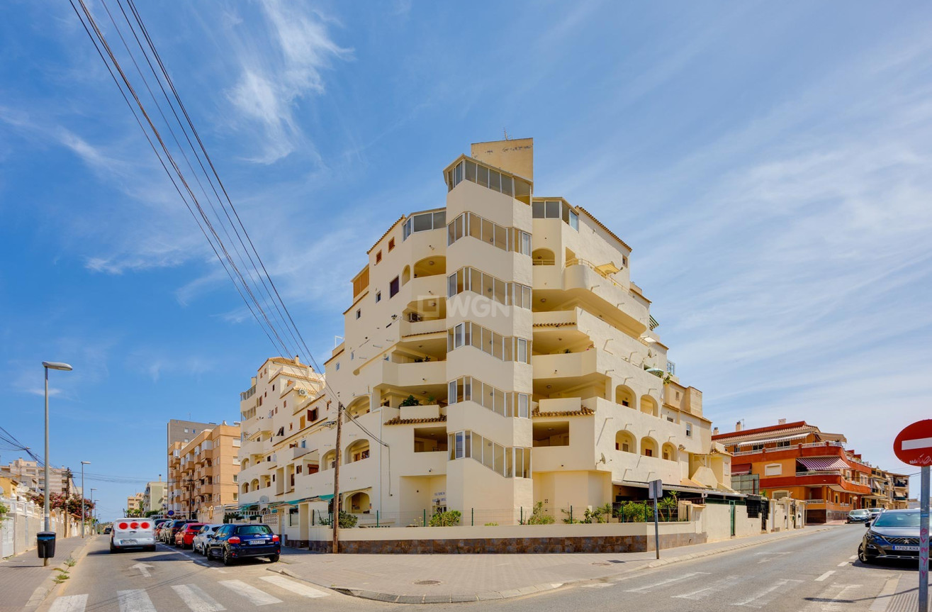 Odsprzedaż - Mieszkanie w bloku - Torrevieja - Costa Blanca