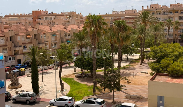 Odsprzedaż - Mieszkanie w bloku - Torrevieja - Estacion De Autobuses