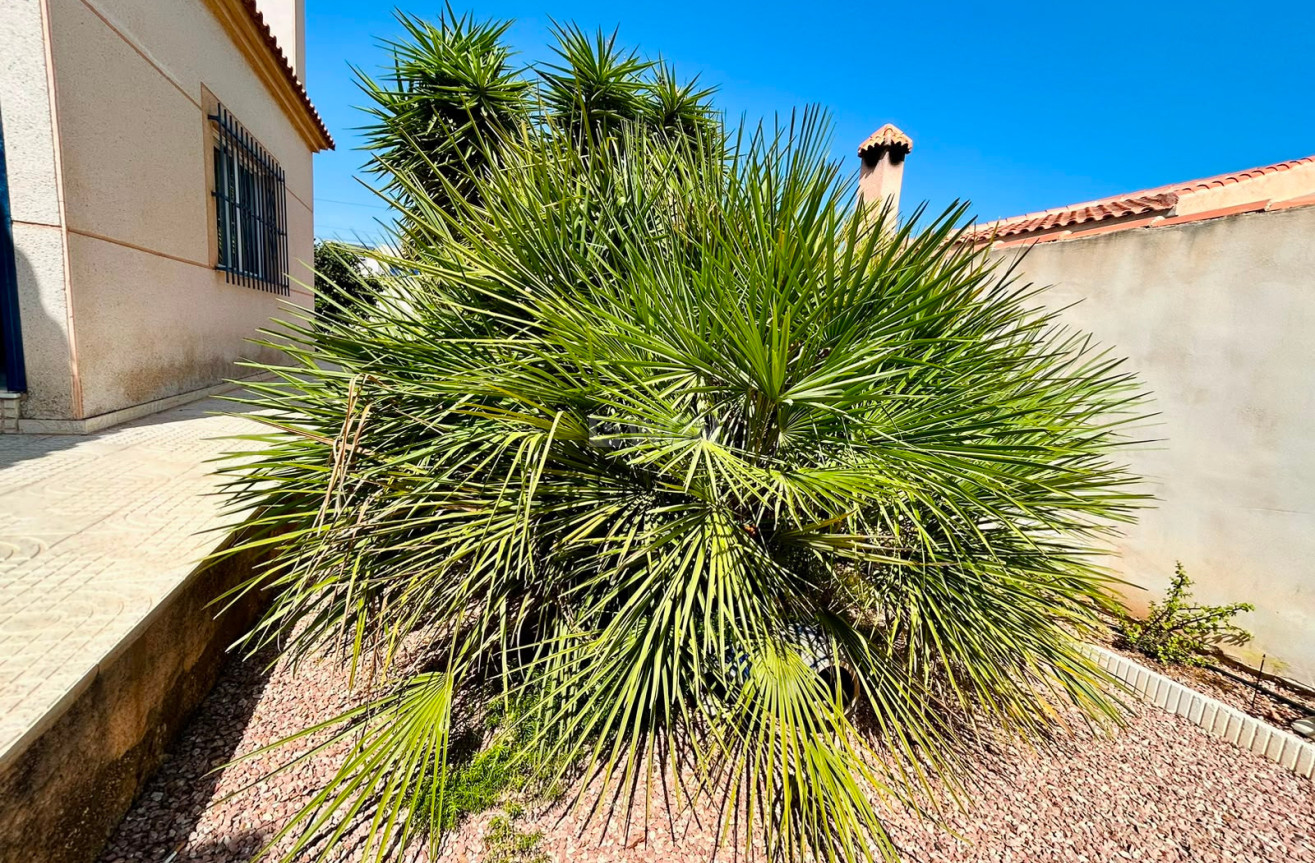 Odsprzedaż - Villa - Torrevieja - Costa Blanca
