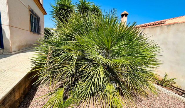Odsprzedaż - Villa - Torrevieja - Costa Blanca