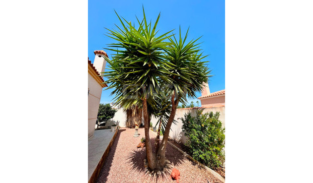 Odsprzedaż - Villa - Torrevieja - Costa Blanca