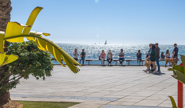 Odsprzedaż - Mieszkanie w bloku - Torrevieja - Habaneras