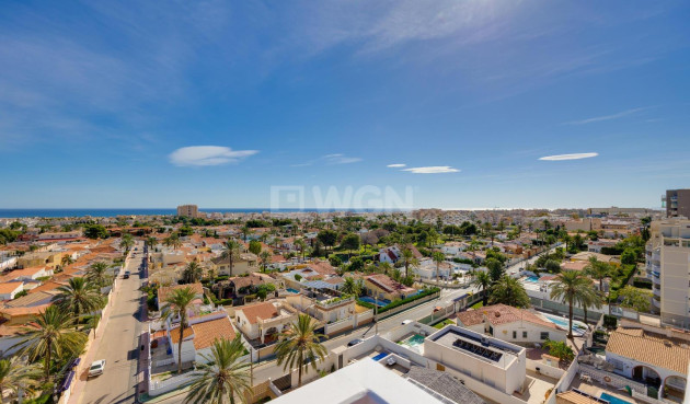 Wiederverkauf - Wohnung - Torrevieja - Nueva Torrevieja