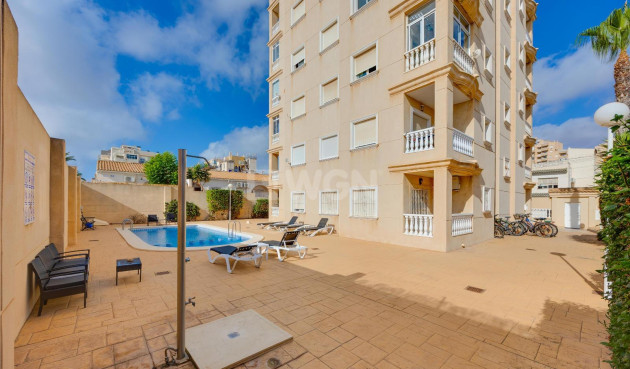 Wiederverkauf - Wohnung - Torrevieja - Nueva Torrevieja