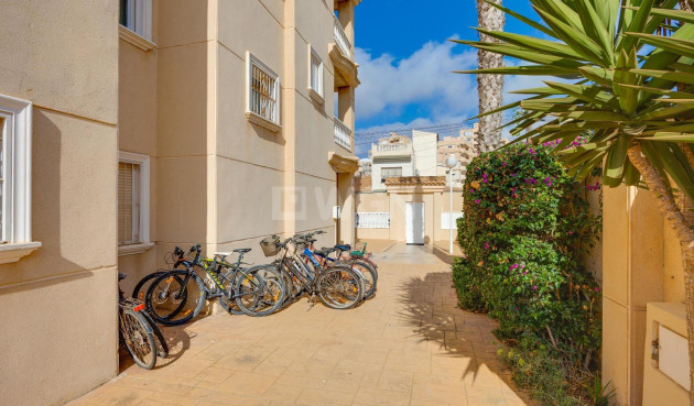 Wiederverkauf - Wohnung - Torrevieja - Nueva Torrevieja