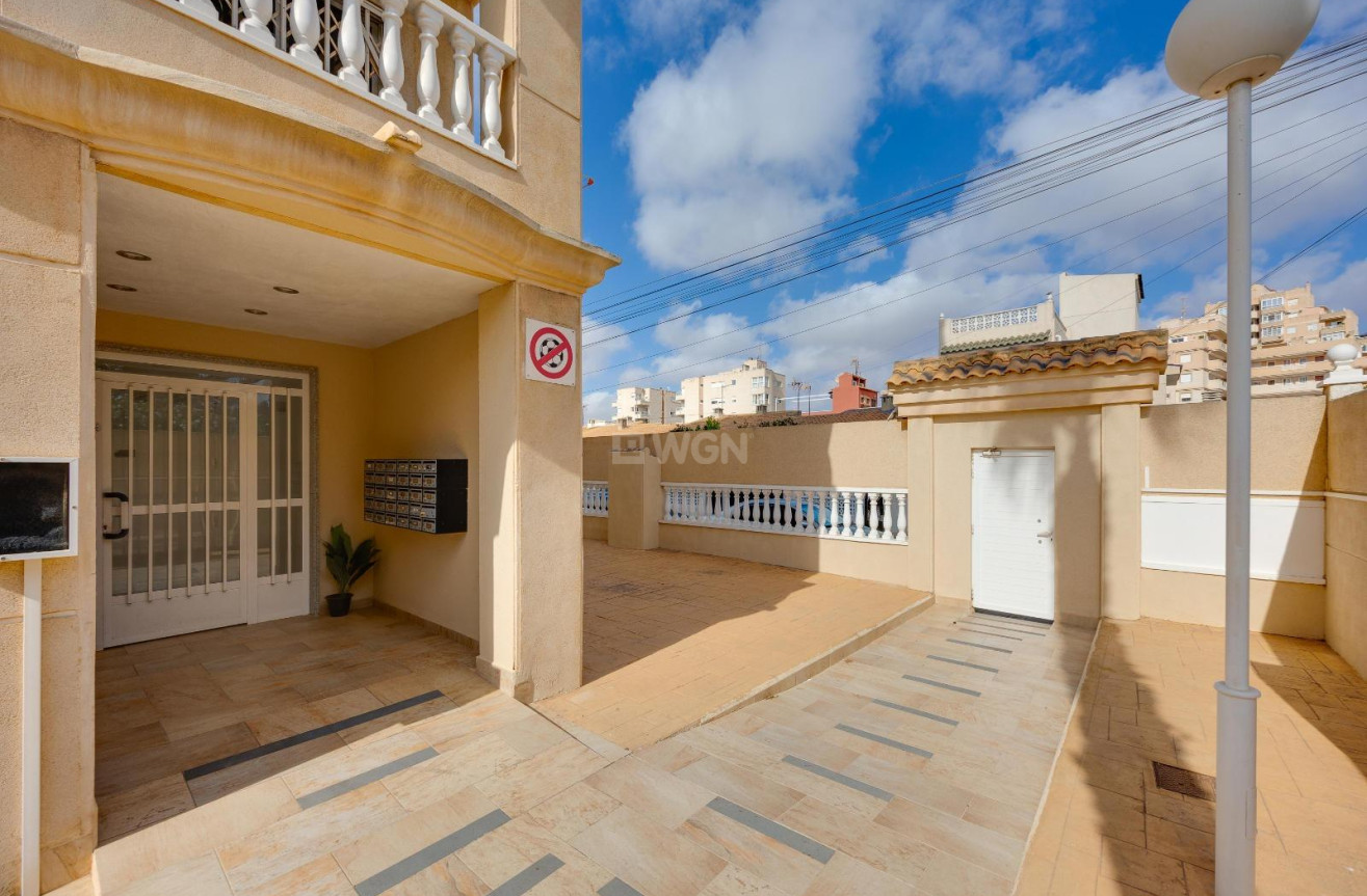 Wiederverkauf - Wohnung - Torrevieja - Nueva Torrevieja