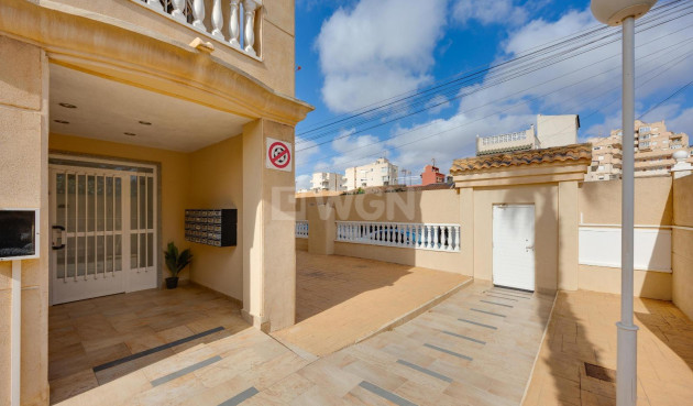 Wiederverkauf - Wohnung - Torrevieja - Nueva Torrevieja
