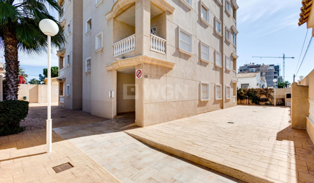 Wiederverkauf - Wohnung - Torrevieja - Nueva Torrevieja
