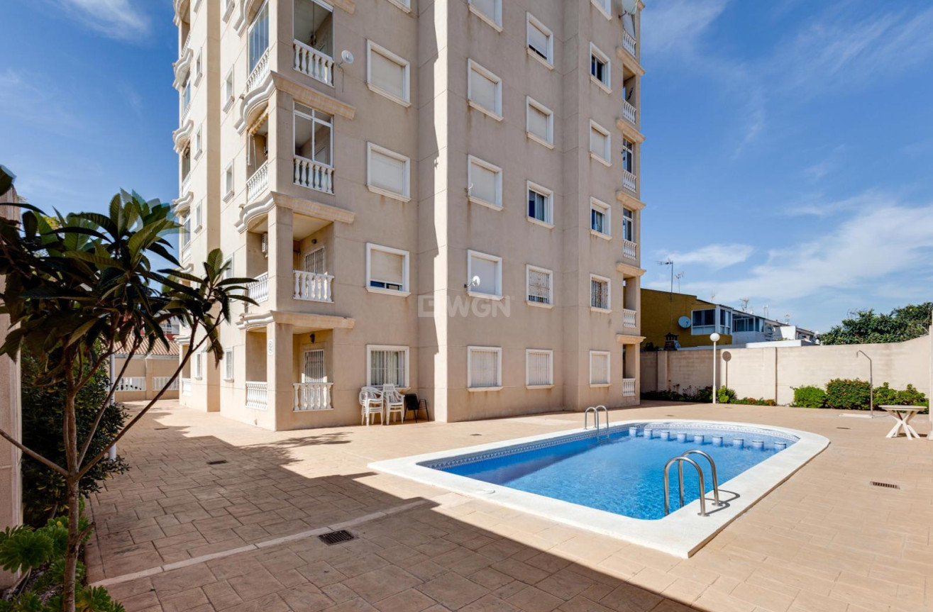 Wiederverkauf - Wohnung - Torrevieja - Nueva Torrevieja