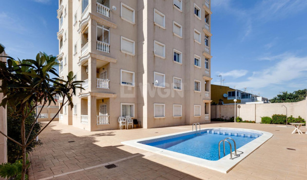 Wiederverkauf - Wohnung - Torrevieja - Nueva Torrevieja