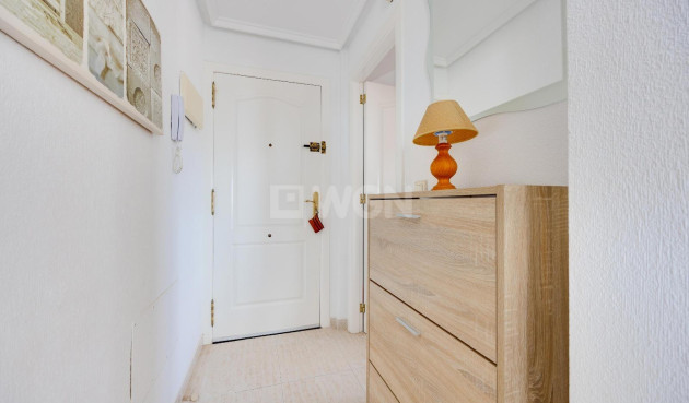 Wiederverkauf - Wohnung - Torrevieja - Nueva Torrevieja