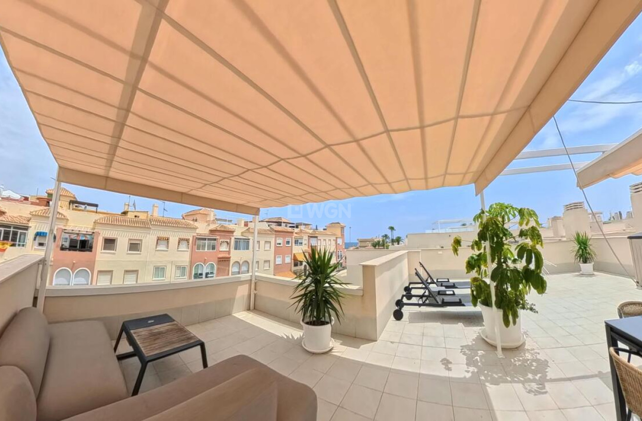 Wiederverkauf - Penthouse - Torrevieja