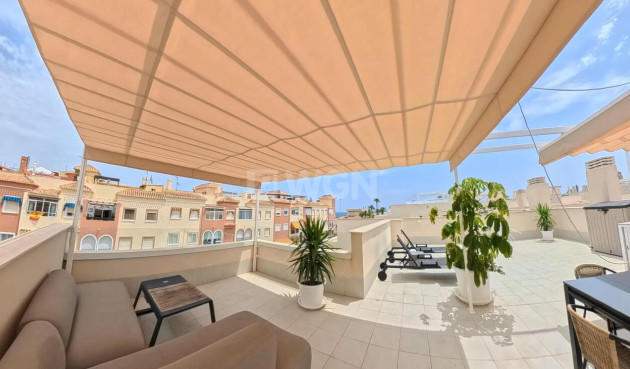 Wiederverkauf - Penthouse - Torrevieja