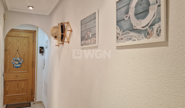 Wiederverkauf - Wohnung - Guardamar del Segura - Costa Blanca
