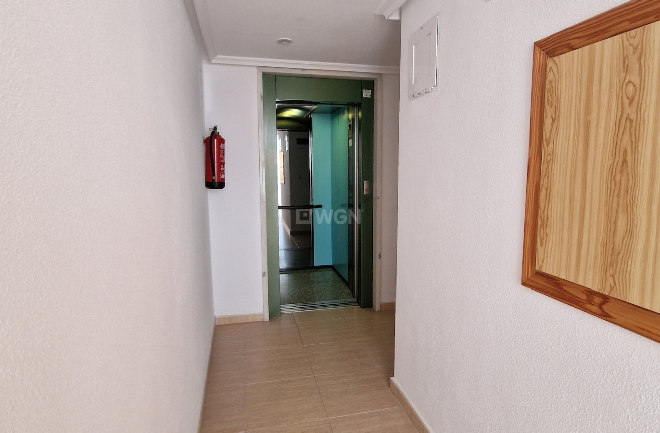 Wiederverkauf - Wohnung - Guardamar del Segura - Costa Blanca