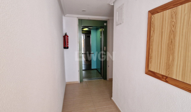 Wiederverkauf - Wohnung - Guardamar del Segura - Costa Blanca