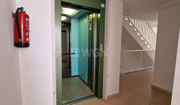 Wiederverkauf - Wohnung - Guardamar del Segura - Costa Blanca