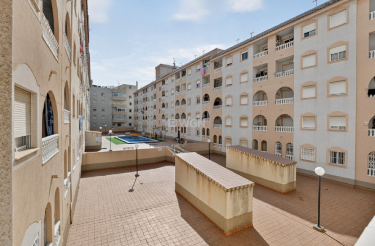 Odsprzedaż - Mieszkanie w bloku - Torrevieja - Costa Blanca