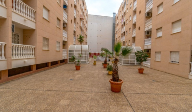 Odsprzedaż - Mieszkanie w bloku - Torrevieja - Costa Blanca
