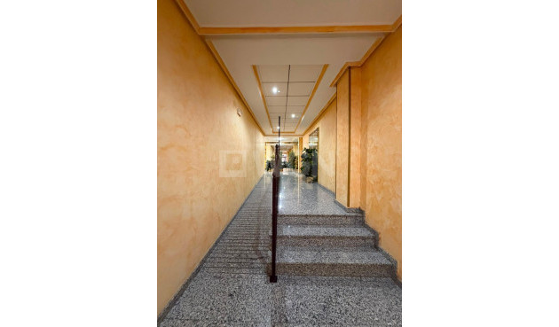 Reventa - Apartamento / piso - Torrevieja - Estacion De Autobuses