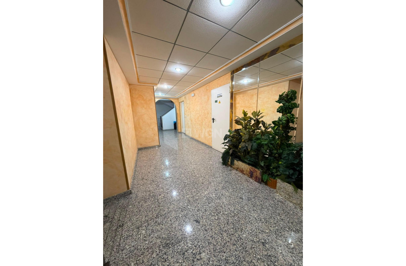 Reventa - Apartamento / piso - Torrevieja - Estacion De Autobuses