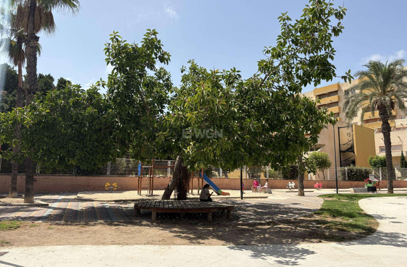 Odsprzedaż - Mieszkanie w bloku - Torrevieja - Playa del Cura