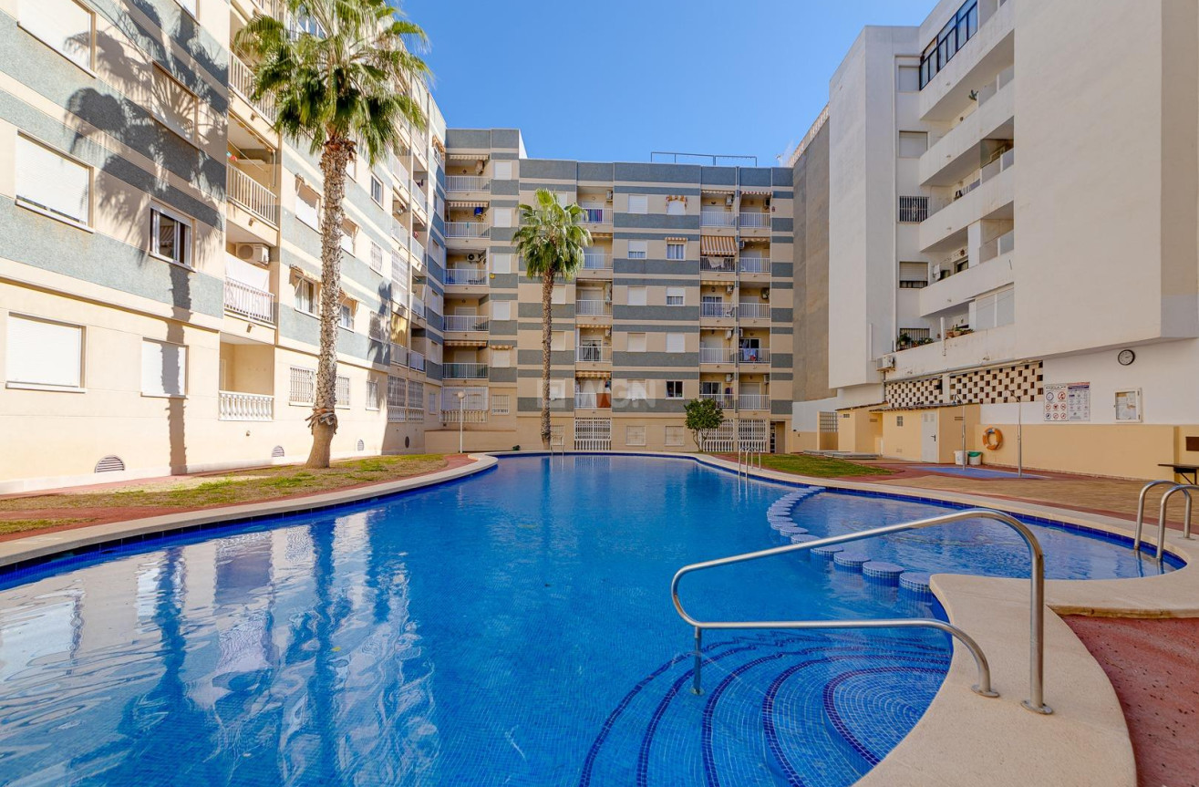 Odsprzedaż - Mieszkanie w bloku - Torrevieja - Centro