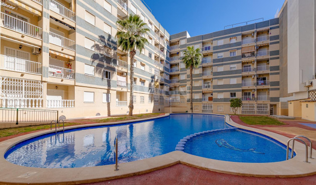 Odsprzedaż - Mieszkanie w bloku - Torrevieja - Centro