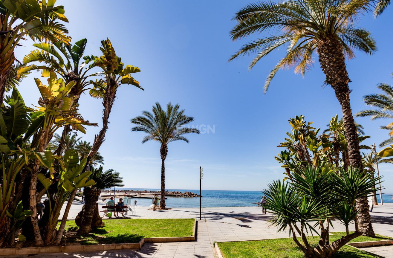 Odsprzedaż - Mieszkanie w bloku - Torrevieja - Centro