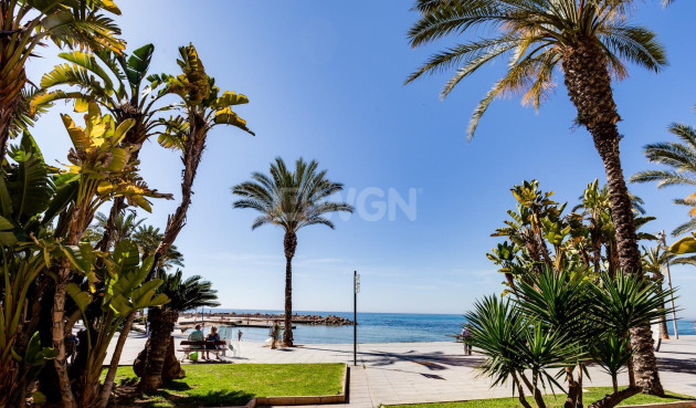 Odsprzedaż - Mieszkanie w bloku - Torrevieja - Centro