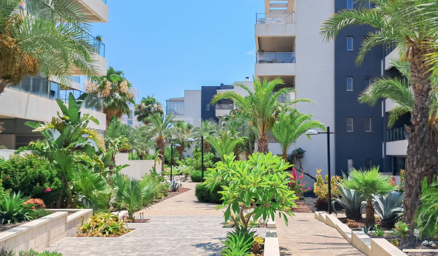 Odsprzedaż - Mieszkanie w bloku - Orihuela Costa - Los Dolses