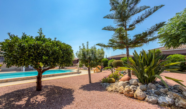 Odsprzedaż - Villa - Catral - Costa Blanca