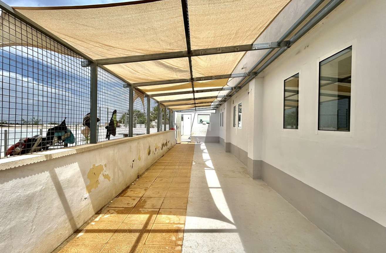 Odsprzedaż - Villa - Los Montesinos - Costa Blanca