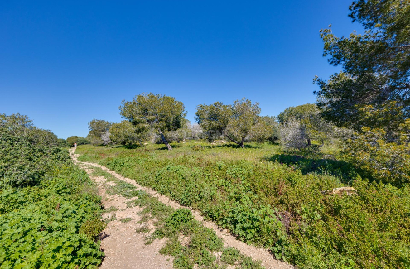 Odsprzedaż - Kamienica - Torrevieja - La Siesta - El Salado - Torreta