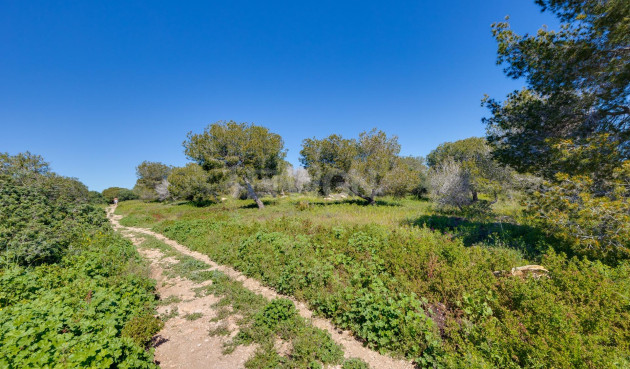 Odsprzedaż - Kamienica - Torrevieja - La Siesta - El Salado - Torreta