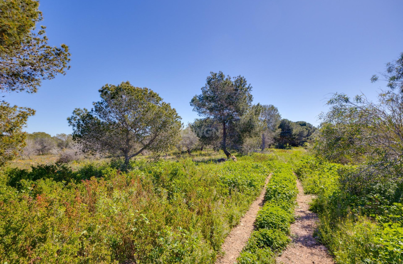 Odsprzedaż - Kamienica - Torrevieja - La Siesta - El Salado - Torreta